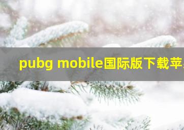 pubg mobile国际版下载苹果